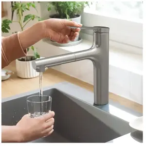 Comparateur de prix : HANSGROHE Zesis M33 Mitigeur de cuisine 160 avec douchette extractible...