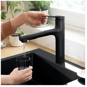 Comparateur de prix : Hansgrohe Robinet de cuisine avec douchette Zesis M33 160 2 jets noir mat TU