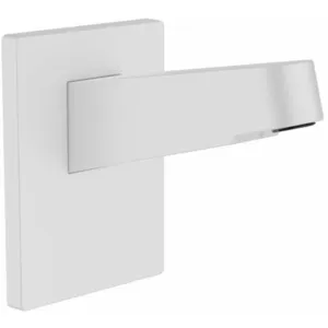 hansgrohe Pulsify Bras de douche, 24149700, pas cher