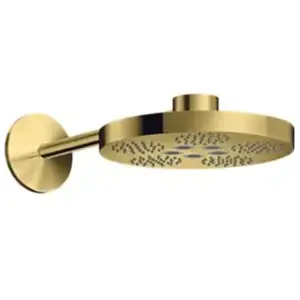 AXOR One Set de douche de tête, 2 jets, 48492990,Vendu paramazon