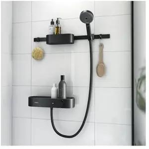 Comparateur de prix : hansgrohe WallStoris Mitigeur thermostatique, pour douche, 24250670,