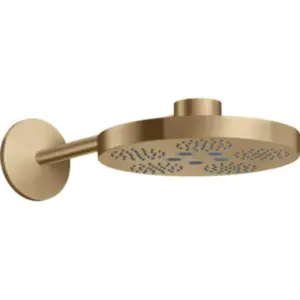AXOR One Set de douche de tête, 2 jets, 48492140, pas cher