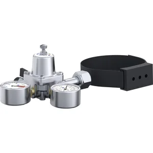 hansgrohe Aquittura F24 Kit d extension pour bouteilles de CO2 de 2kg,...Vendu paramazon