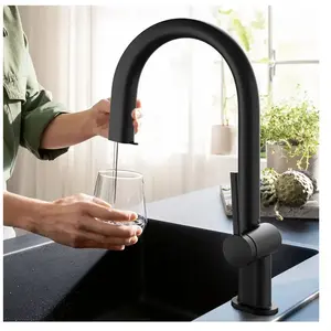 hansgrohe Aqittura M91 Mitigeur de cuisine, avec système de filtration, 76803670,Vendu paramazon