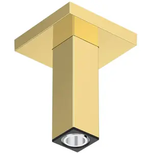 hansgrohe Universal Bras de douche, 24338990, pas cher