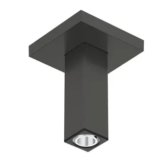 hansgrohe Universal Bras de douche, 24338340, pas cher