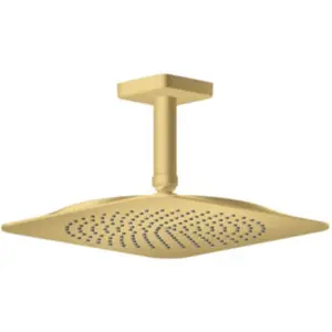 AXOR Citterio C Set de douche de tête, 1 jet, 28792250, pas cher