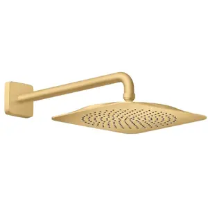 AXOR Citterio C Set de douche de tête, 1 jet, 28791250, pas cher