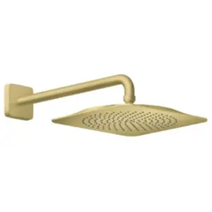AXOR Citterio C Set de douche de tête, 1 jet, 28790950, pas cher