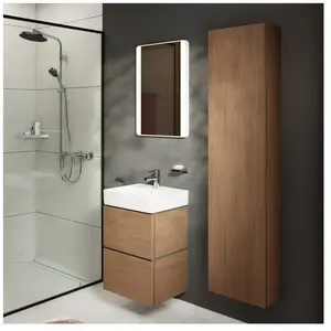 hansgrohe Xilesa E Colonne, 54286550, pas cher