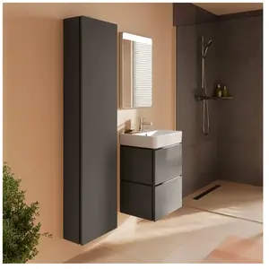 hansgrohe Xilesa E Colonne, 54285760, pas cher