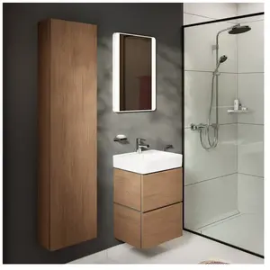 hansgrohe Xilesa E Colonne, 54285550, pas cher