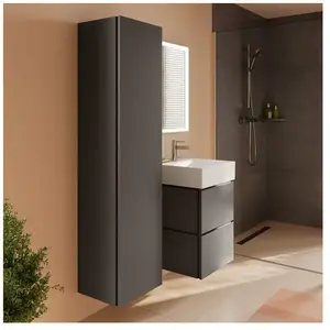 hansgrohe Xilesa E Colonne, 54287760, pas cher