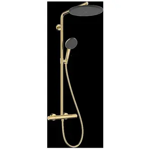 hansgrohe Raindance Alive S Colonne de douche avec mitigeur thermostat... pas cher