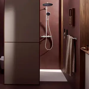 Hansgrohe 24594700 Showerpipe Raindance Alive S Puro pas cher