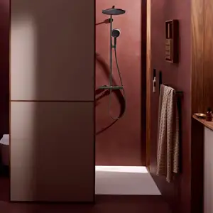 Hansgrohe 24594340 Showerpipe Raindance Alive S Puro pas cher