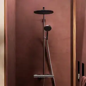 Hansgrohe 24594000 Showerpipe Raindance Alive S Puro pas cher