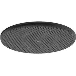 hansgrohe Raindance Alive S Douche de tête, 1 jet, 24523670, pas cher