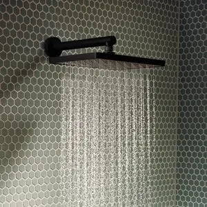 hansgrohe Activera Q Douche de tête, 1 jet, 28738670, pas cher