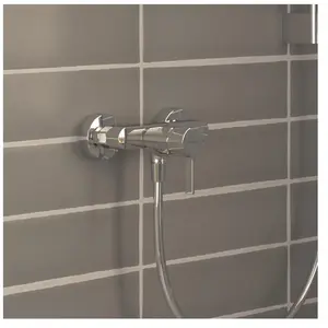 hansgrohe LivaFine Mitigeur monocommande de douche, 72665000, pas cher