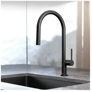 hansgrohe LivaFine Mitigeur de cuisine pivotant avec douchette extract... pas cher