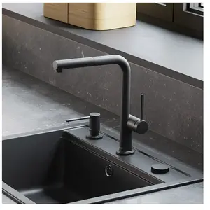 hansgrohe LivaFine Mitigeur de cuisine pivotant avec douchette extract... pas cher