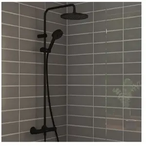 hansgrohe LivaFine Colonne de douche avec mitigeur thermostatique, 260... pas cher