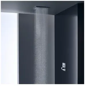 AXOR ShowerSolutions Douche de tête, 2 jets, 35321000,Vendu paramazon