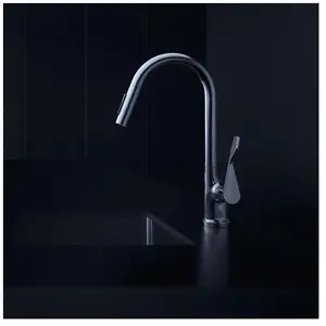 AXOR Citterio Mitigeur de cuisine pivotant, avec douchette extractible...