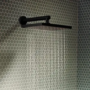hansgrohe Activera Q Douche de tête, 1 jet, 28739670, pas cher