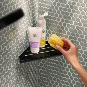 hansgrohe AddStoris S Tablette de douche, 41761670,