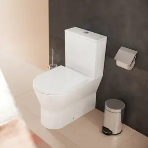 hansgrohe EluPura Original S Cuvette au sol avec AquaFall Flush, 60346... pas cher