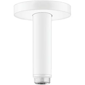 hansgrohe Universal Bras de douche, 27393700, pas cher