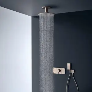 Hansgrohe AXOR ShowerSolutions Douche de tête, 1 jet, 35301300,