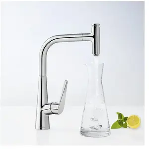Hansgrohe mitigeur de cuisine 300,avec douchette extractible 1 jet, sBox chromééVendu paramazon