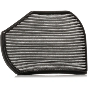 RIDEX Filtre d'habitacle Filtre à charbon actif 424I0247 pas cher