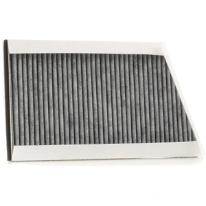 RIDEX Filtre d'habitacle Filtre à charbon actif 424I0042 pas cher