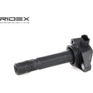 Bobine d'allumage RIDEX 689C0189 pas cher