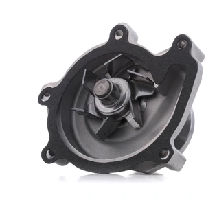 Pompe à eau RIDEX 1260W0259 pas cher