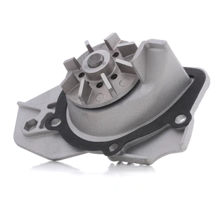 Pompe à eau RIDEX 1260W0271 pas cher