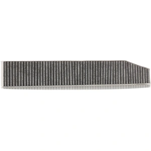 RIDEX Filtre d'habitacle Filtre à charbon actif 424I0443 pas cher