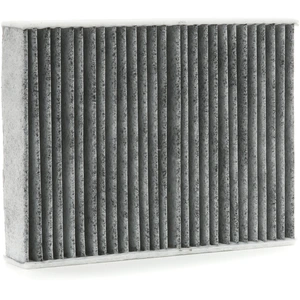 RIDEX Filtre d'habitacle Filtre à charbon actif 424I0475 pas cher
