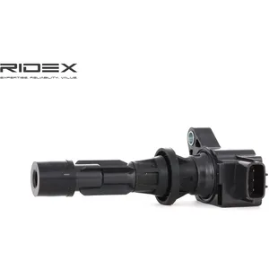 Bobine d'allumage RIDEX 689C0130 pas cher