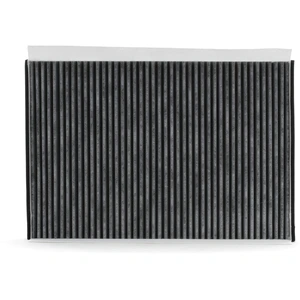 RIDEX Filtre d'habitacle Filtre à charbon actif 424I0321 pas cher