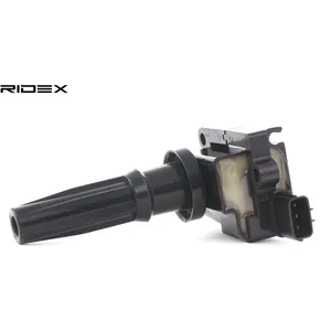 Bobine d'allumage RIDEX 689C0058 pas cher