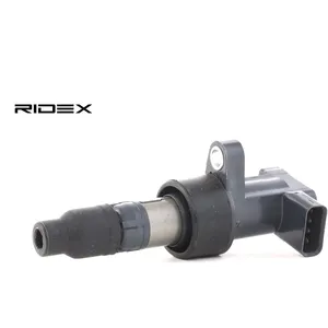 Bobine d'allumage RIDEX 689C0055 pas cher