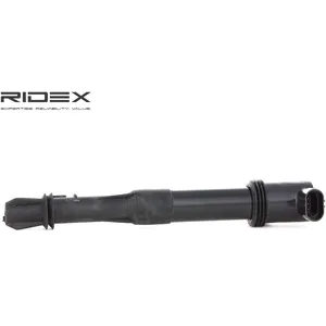 Bobine d'allumage RIDEX 689C0036 pas cher