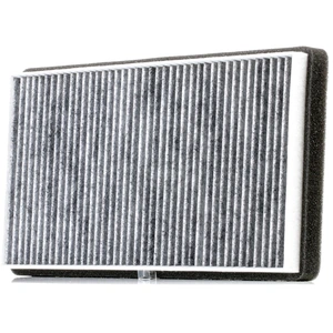 Filtre d'habitacle RIDEX 424I0316 pas cher