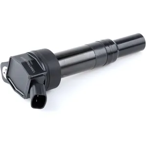 Bobine d'allumage RIDEX 689C0345 pas cher