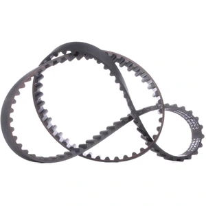 Courroie de distribution RIDEX 306T0082 pas cher
